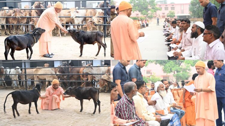 CM योगी ने की गौ सेवा; भवानी और भोलू को दुलारा, जनता दर्शन में सुनी 200 लोगों की समस्याएं